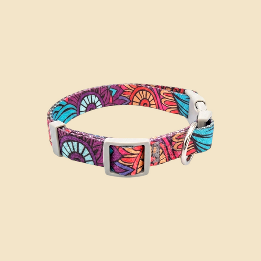 Collar Con Diseño - Perro para Accesorios | Nanai Mascota