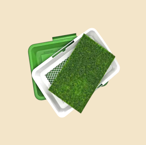 Tapete de Limpieza Pequeño para Perros | Nanai Mascota