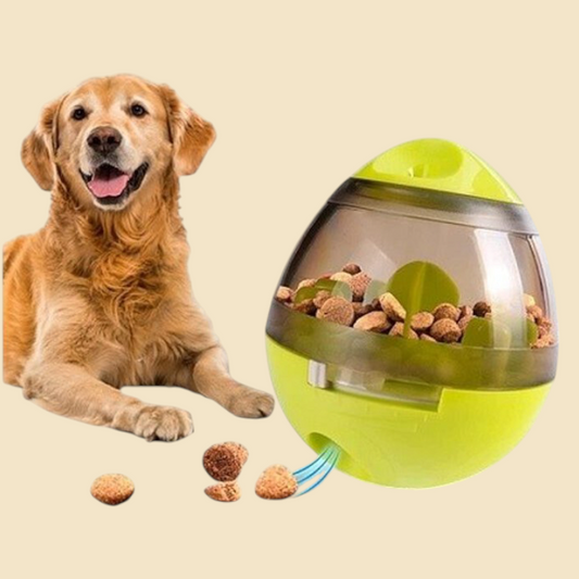 Juguete Interactivo para Mascotas | Nanai Mascota