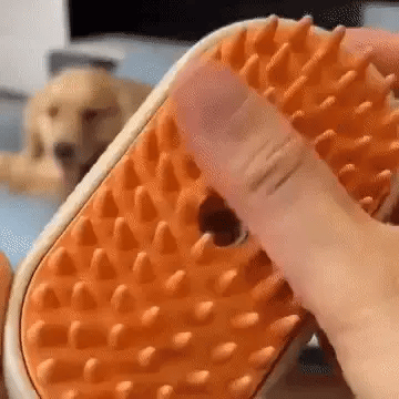 Cepillo Vapor Para Mascota