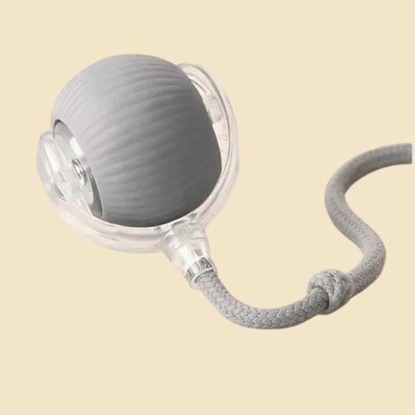 Pelota Interactiva Recargable USB - Gatos - Nanai Mascota