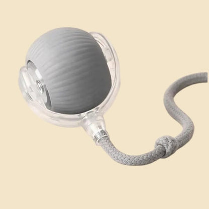 Pelota Interactiva Recargable USB - Gatos