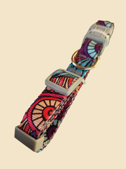 Collar con Diseño - Perro -  Gato