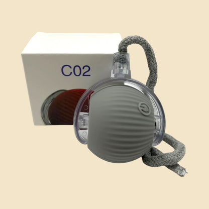 Pelota Interactiva Recargable USB - Gatos