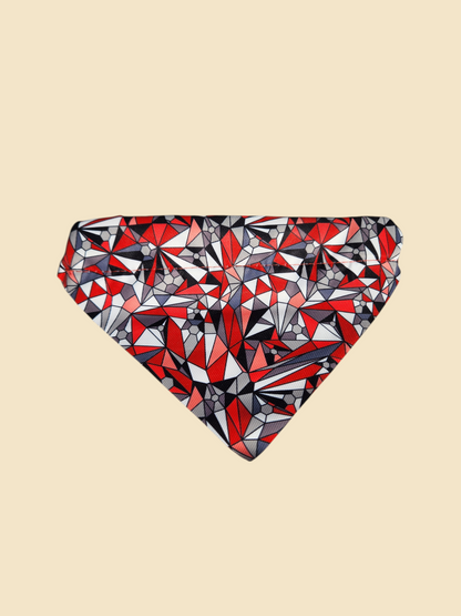 Bandana - Perro