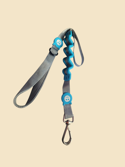 Correa Anti Tirones - Perro para Transporte y Accesorios | Nanai Mascota