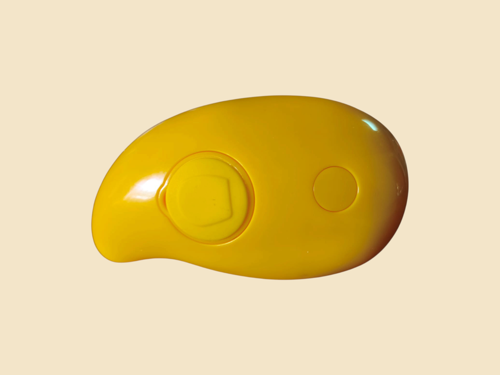 Cepillo de Vapor para Mascotas | Nanai Mascota